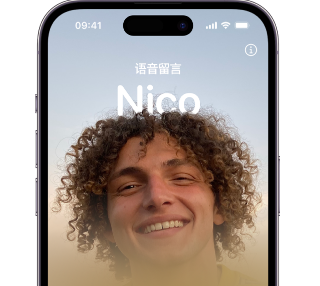 洛龙苹果15服务站分享iPhone15实时语音留言开启方法 