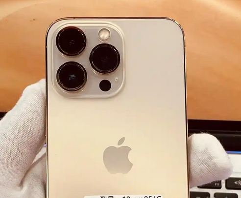 洛龙苹果13维修中心分享如何在iPhone13上设置动态壁纸